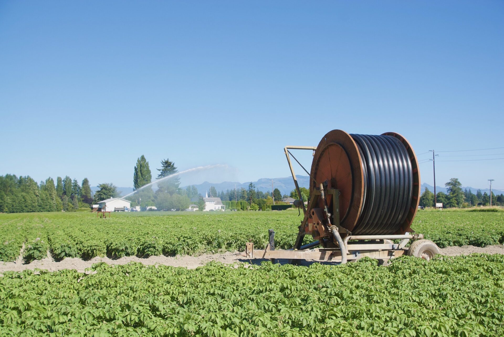 irrigation reel in a farm field